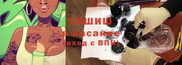 хмурый Алексин