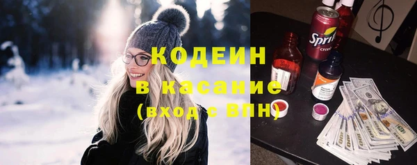 хмурый Алексин