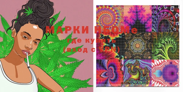 хмурый Алексин