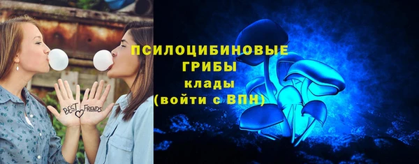хмурый Алексин